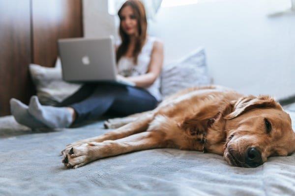 Now! Addiction Recovery at Your Home